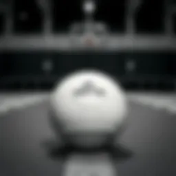 Elegant design of Adidas Niteball in black and white
