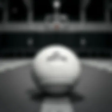 Elegant design of Adidas Niteball in black and white