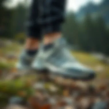 Functionality of Adidas Terrex in Nature Adidas Terrex shoes in an outdoor setting, highlighting their functionality in nature.