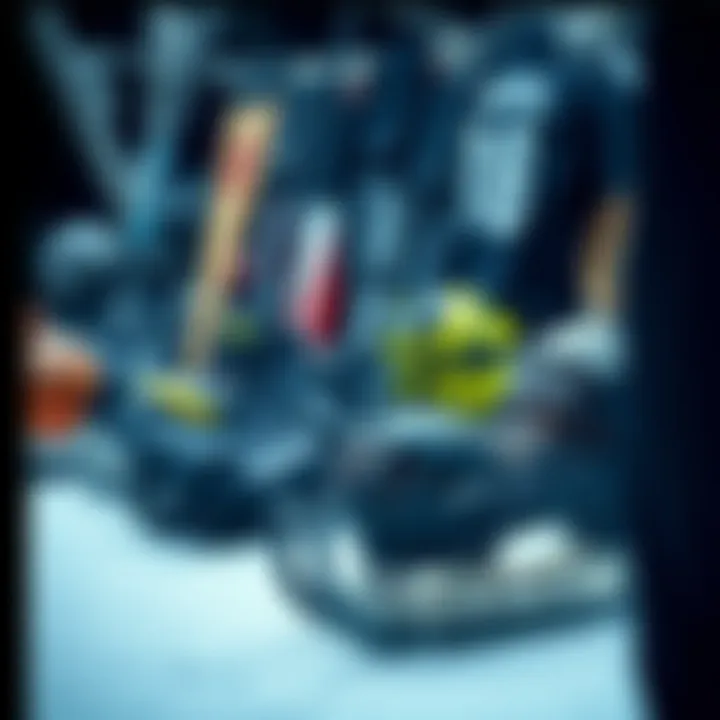 Essential Equipment for Ice Sports A display of diverse ice sports equipment.