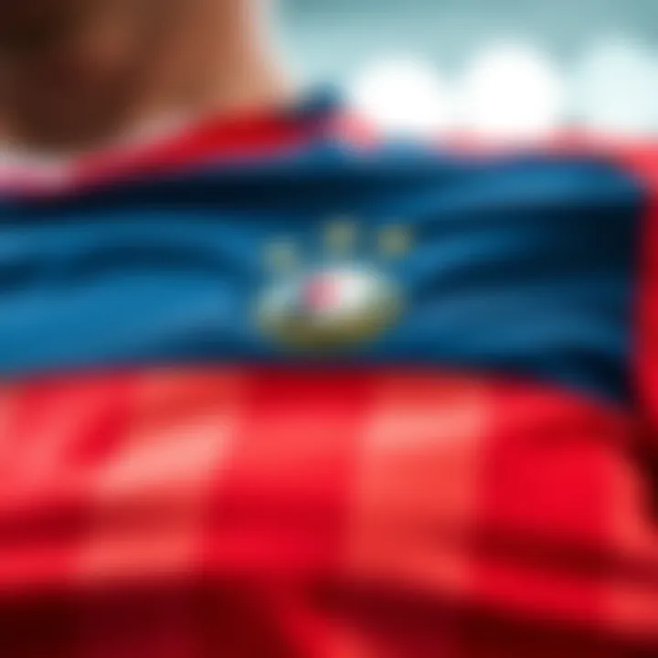 Unique Design Elements of the Jersey Detailed view of the jersey's unique design elements