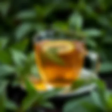 Green tea with a backdrop of fresh leaves