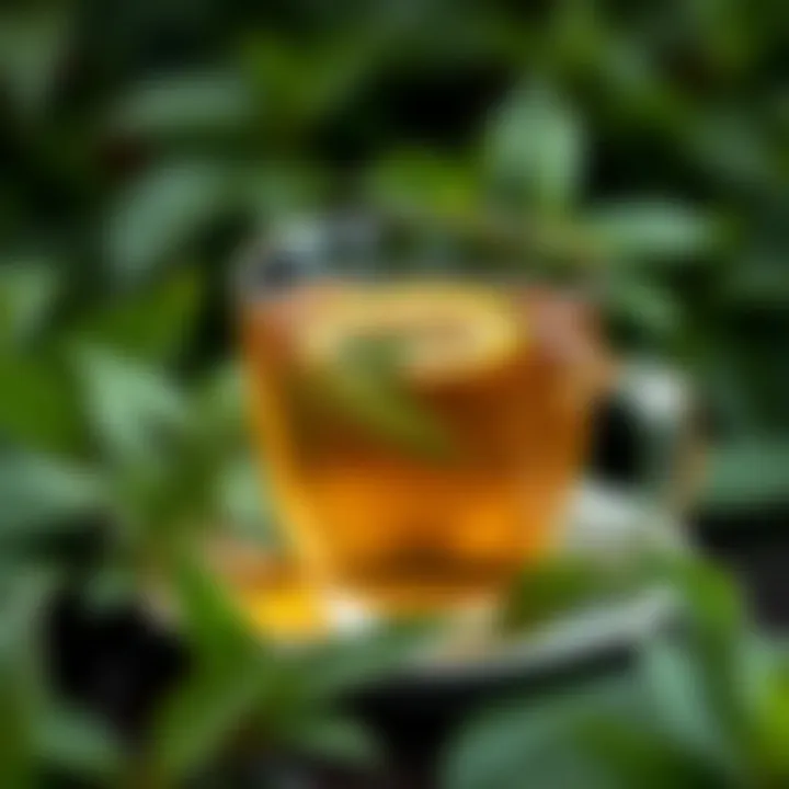 Green tea with a backdrop of fresh leaves