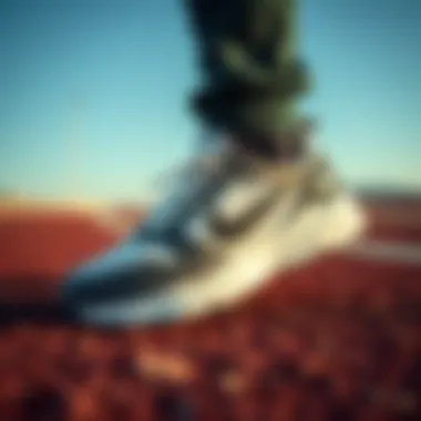 Dynamic design of JC footwear collection