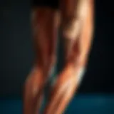 Detailed Anatomy of Female Leg Muscles Anatomy of the leg muscles in detail