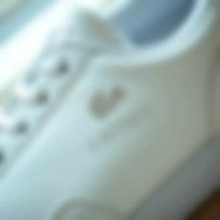 Detail of Lacoste Logo on White Sneakers Close-up of the Lacoste logo on white sneakers