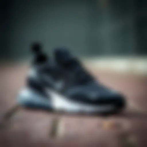 Sleek Design of Nike Air Max 270 Sleek design of Nike Air Max 270 in black