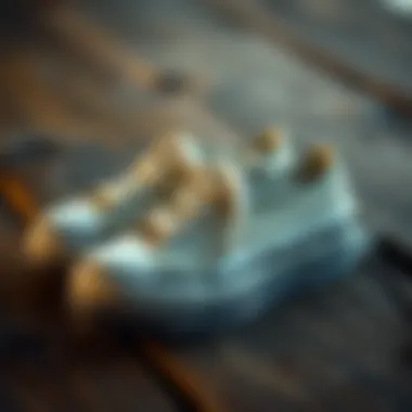 Stylish canvas footwear on a rustic wooden surface