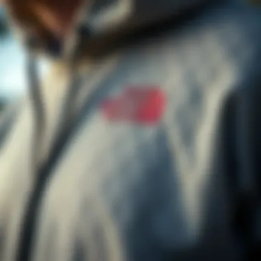 Craftsmanship in The North Face Hoodie Design Close-up of The North Face hoodie design elements emphasizing craftsmanship
