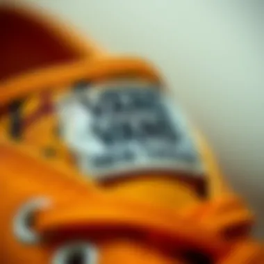 Detailed look at Vans product tags