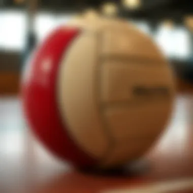 Types of Volleyballs Different types of volleyballs and their uses