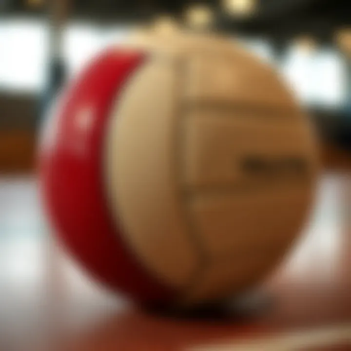 Types of Volleyballs Different types of volleyballs and their uses